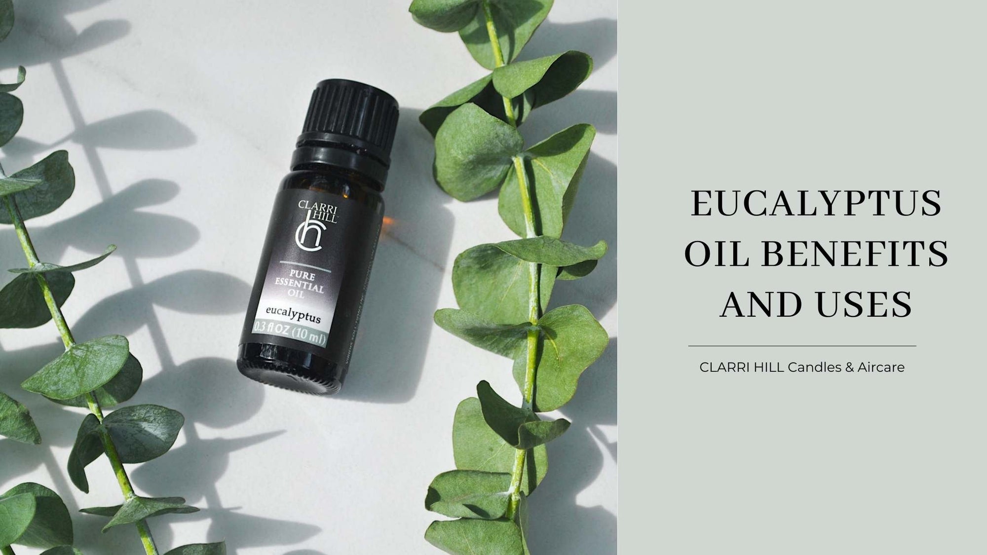 Eucalyptus Oil Benefits and Uses | CLARRI HILL