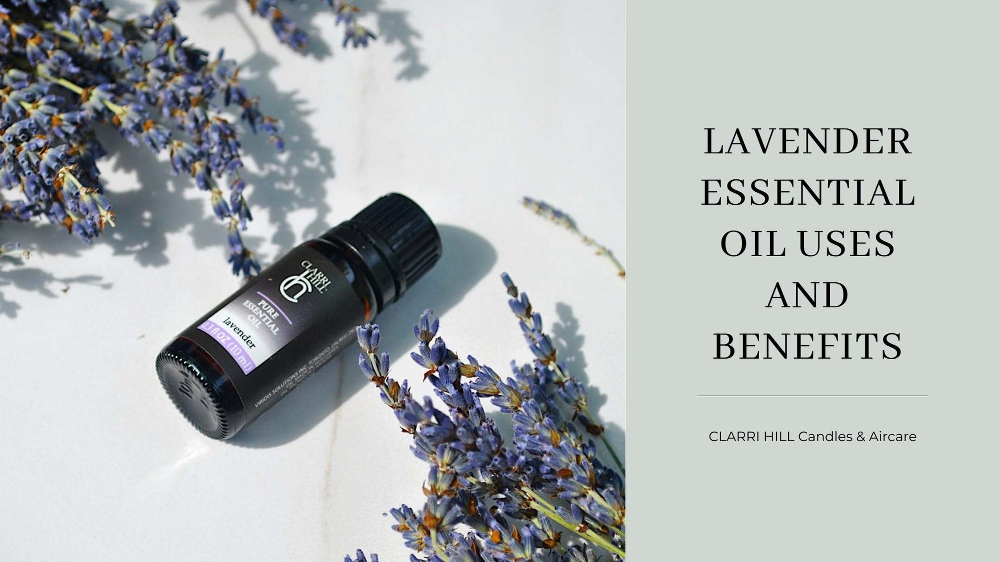 Lavender Essential Oil Uses & Benefits | CLARRI HILL